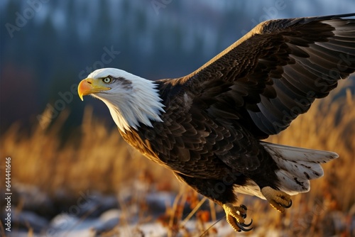 Majestic eagles closeup, dominating a sunlit field during the day
