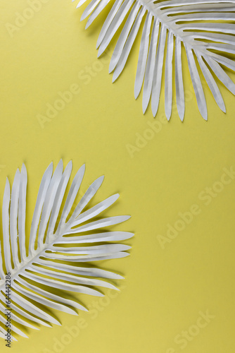 Vertical image of white plant leaves and copy space on yellow background