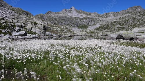  Spectacular lunar landscape on the glacial lake of Serodoli. photo