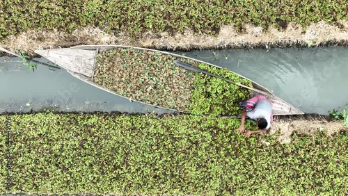 Aerial view of traditional floating garden and farmers cultivate up to 300 types of vegetable, navigating the channels between them by boat in Pirojpur, Barisal, Bangladesh. photo