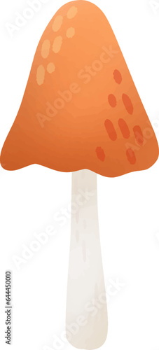 Picking mushrooms in the autumn