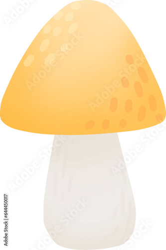 Picking mushrooms in the autumn
