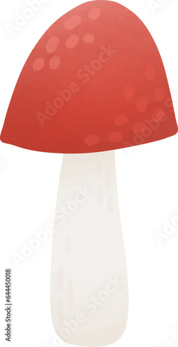 Picking mushrooms in the autumn