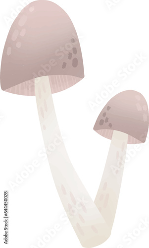 Picking mushrooms in the autumn