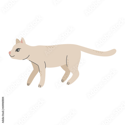 Walking  crouching gray cat. Pet  friend. Simple vector illustration in flat cartoon style isolated on white background.