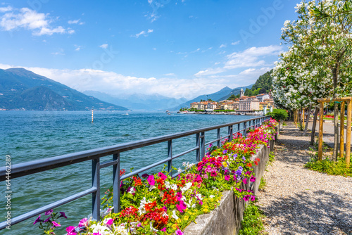 Blooming trees and flowers at Bellagio lakeshore promenade. Como Lake  Lombardy  Italy