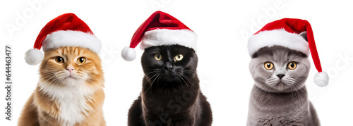 set of cats with santa claus hat, christmas cat  isolated on transparent background - Generative AI © Only Best PNG's