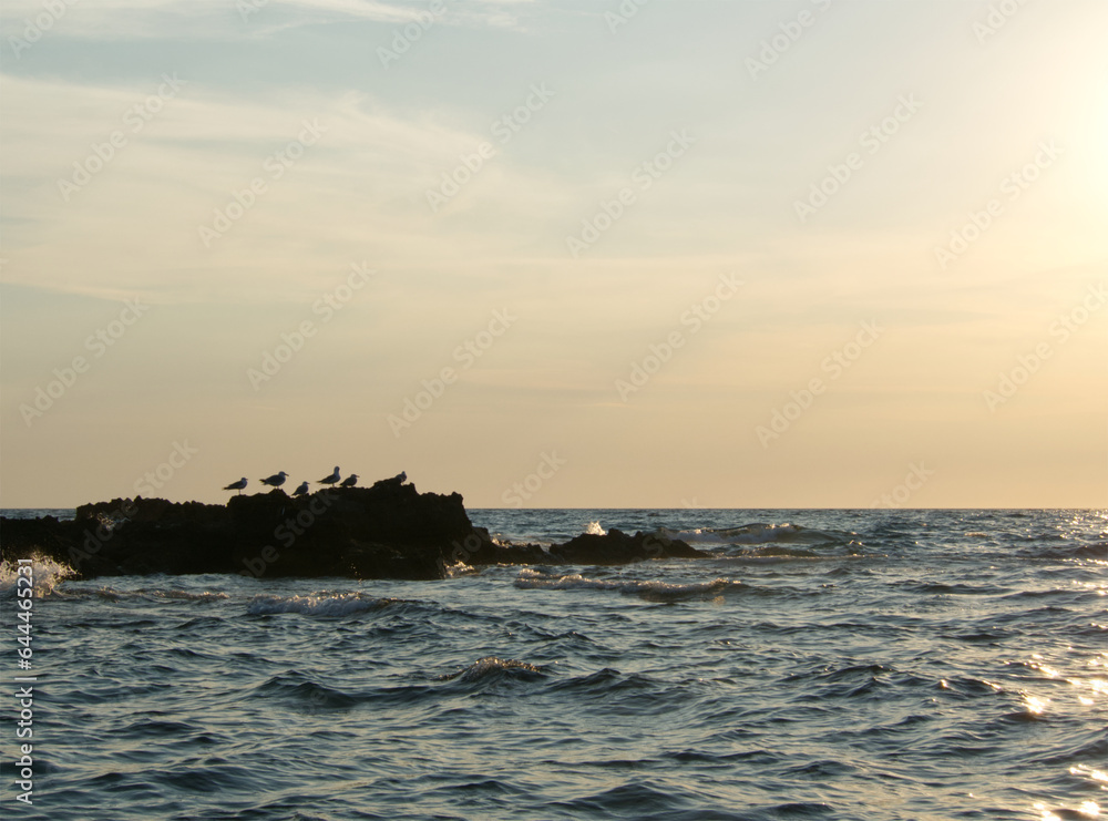 Rocks in the sea. Seascape water, seagull, rocks and sky background. Seagull sitting on a rock. Mediterranean Sea landscape. Sunset on Italy, Campania. Blue water surface and waves. Natural background Rocks in the sea. Seascape water, seagull, rocks and sky background. Seagull sitting on a rock. Mediterranean Sea landscape. Sunset on Italy, Campania. Blue water surface and waves. Natural background