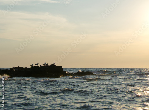 Rocks in the sea. Seascape water, seagull, rocks and sky background. Seagull sitting on a rock. Mediterranean Sea landscape. Sunset on Italy, Campania. Blue water surface and waves. Natural background