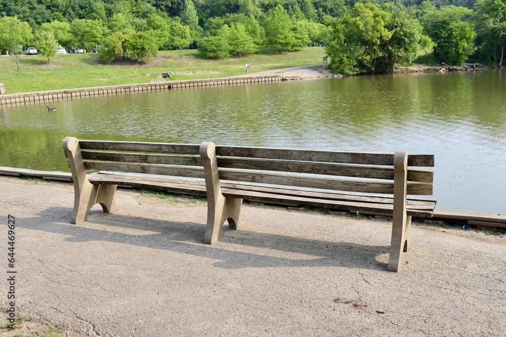 The bench in the park at the lake on a sunny day. The bench in the park at the lake on a sunny day.