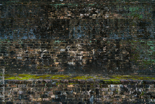 An old reddish-brown brick wall covered with moss and plants in colors ranging from light green to dark green to black.