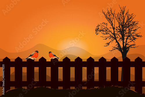 Two little bird sitting on fence. Wooden fence with on orange sunrise  background. Early winter morning in rural. Small bullfinch in cold dawn countryside. Rustic landscape. Stock vector illustration