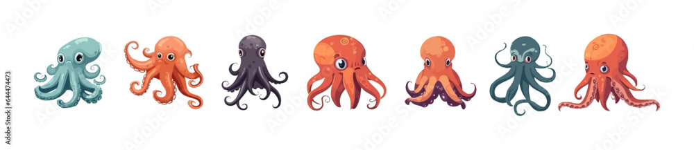 Octopus flat cartoon set isolated on white background. Vector isolated illustration Octopus flat cartoon set isolated on white background. Vector isolated illustration