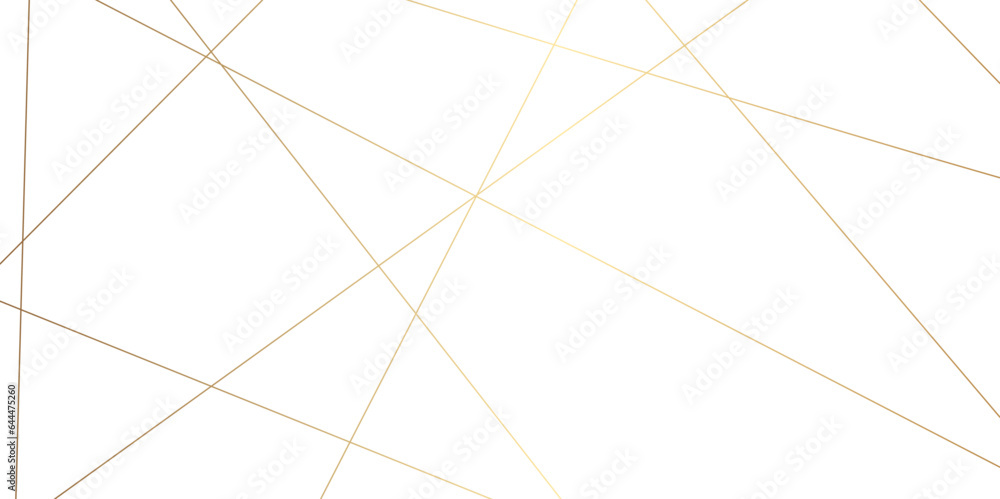 Luxury premium golden random chaotic wave lines abstract background. Vector, illustration
Luxury premium golden random chaotic wave lines abstract background. Vector, illustration