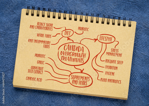 candida overgrowth treatment - infographics or mind map sketch on a notebook - wellness and health concept photo