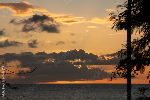 Coucher de soleil nuageux sur l'océan, silhouettes d'arbres au premier plan © Bastoon