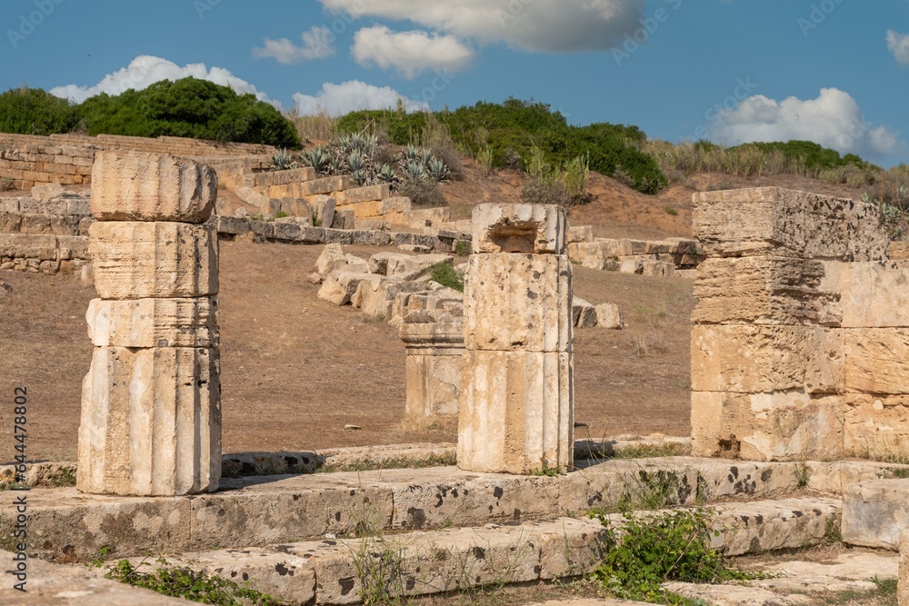 Parco Archeologico di Selinunte - Castelvetrano - Trapani - Sicilia - Italia