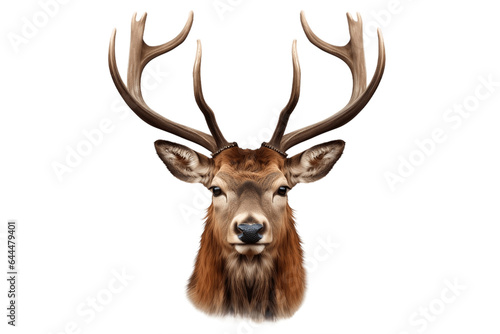 Deer with Horns Isolated on a Transparent Background PNG. Generative Ai