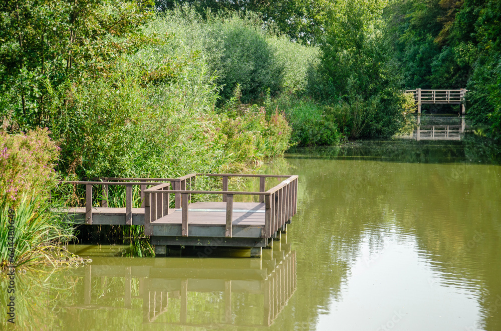 Wooden fishing platform and wooden bridge in a lush environment in a park in Rijswijk, The Netherlands
