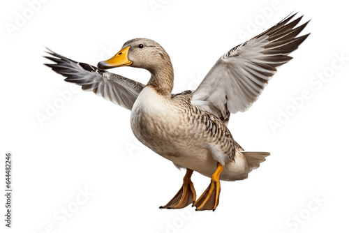 Flying duck Isolated on a Transparent Background PNG. Generative Ai