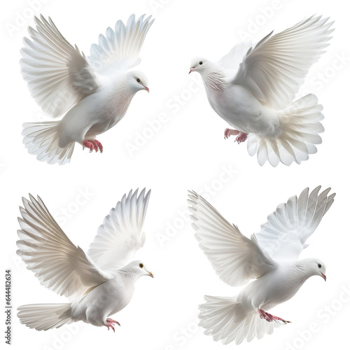 white dove flying freely On a transparent background (png) for decorating projects.