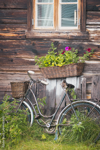 bicycle and flowers