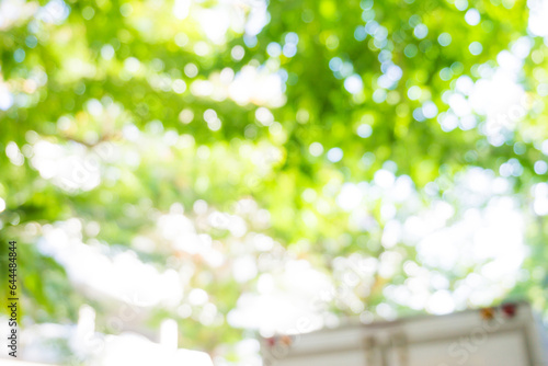 Blured bokeh daylight green leaf background