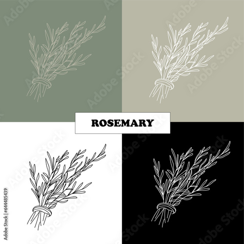 rosemary herbs, spices for dishes, seasoning. logo