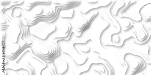 Abstract wavy line 3d paper cut white background. Topographic canyon geometric map relief texture with curved layers and shadow. paper cut 3d render topography abstract ,beautiful white color.