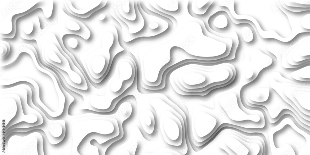 Abstract wavy line 3d paper cut white background. Topographic canyon geometric map relief texture with curved layers and shadow. paper cut 3d render topography abstract ,beautiful white color.