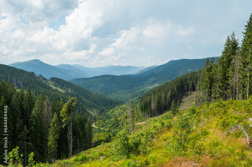 Landscape Ukraine Carpathian Mountains