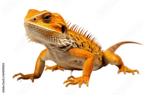 Bright colored Lizard Isolated on a Transparent PNG Background. Generative Ai