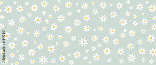 Vector pattern illustration of white daisy flowers on a green background. Pretty floral pattern for print. Flat design vector.