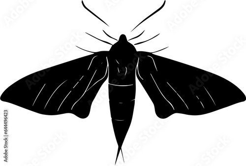 Comet Moth icon 3