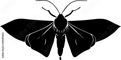 Comet Moth icon 1