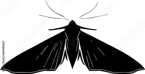 Comet Moth icon 2