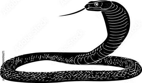 Coachwhip Snake icon 3