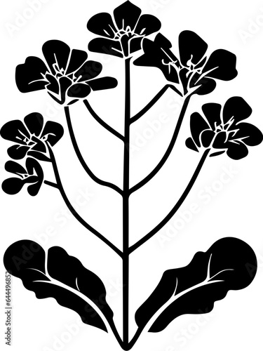 Brassicaceae plant icon 1