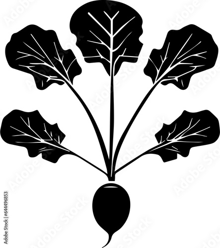 Brassicaceae plant icon