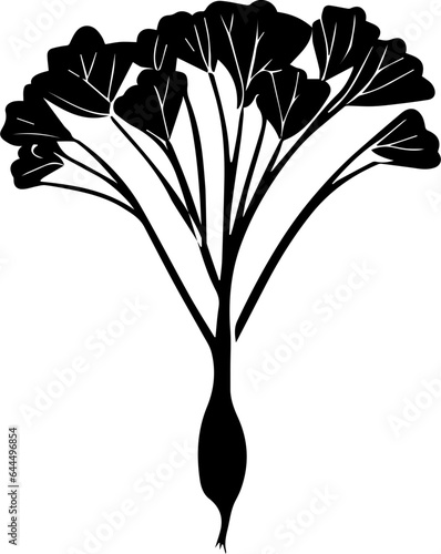 Brassicaceae plant icon 2