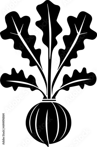 Brassicaceae plant icon 3
