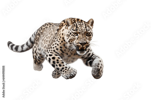 White Leopard Isolated on a Transparent PNG Background, Rendering. Generative Ai
