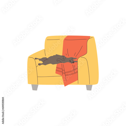 Funny dog sleeping on armchair or couch, flat vector illustration isolated on white background.
