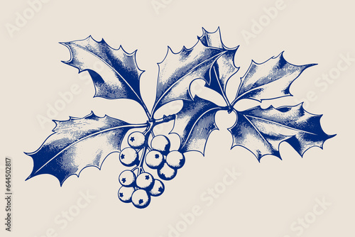 Vintage style illustration of a christmas festive holly branch photo