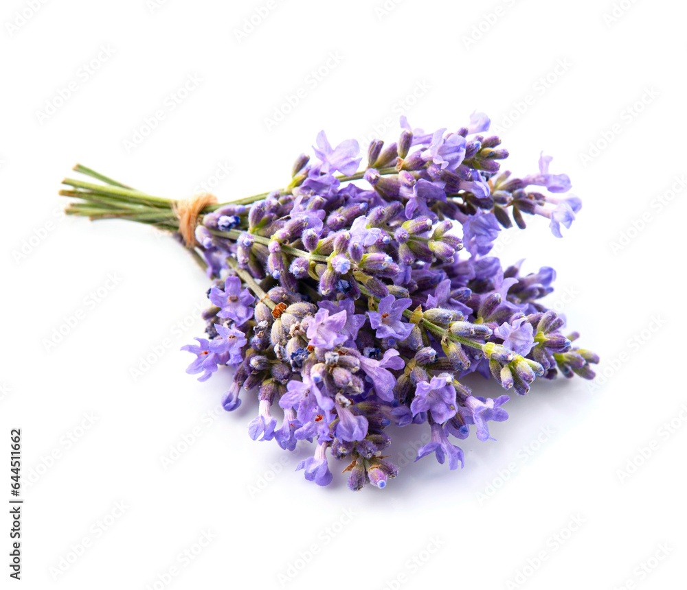 Lavender flower on white backgrounds. Lavender flower on white backgrounds.