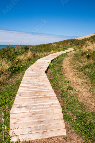 Aménagement du sentier du Rieu des Cats à Le Portel