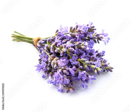 Lavender flower on white backgrounds.