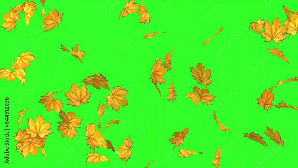 Autumn leaves are rotate on a green background. 3D animation of leaf fall. Autumn concept. Changing seasons. background of the chroma key. Autumn leaves are rotate on a green background. 3D animation of leaf fall. Autumn concept. Changing seasons. background of the chroma key.