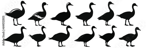 Duck goose hunting silhouettes set, large pack of vector silhouette design, isolated white background