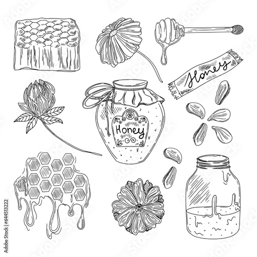 vector drawing on the theme of honey, beekeeping. black and white illustration graphics, sketch. honey, honeycombs, bees.